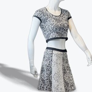 Nina Crop Top & Skirt Set in Jacquard Knit by Designer Parker Skater Mod Small